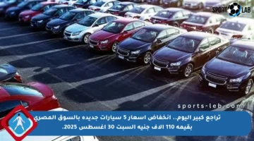 تراجع كبير اليوم.. انخفاض أسعار 5 سيارات جديدة بالسوق المصري بقيمة 110 آلاف جنيه السبت 30 أغسطس 2025.